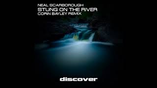 Neal Scarborough - Stung on the River (Corin Bayley Remix)