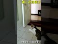 Funny