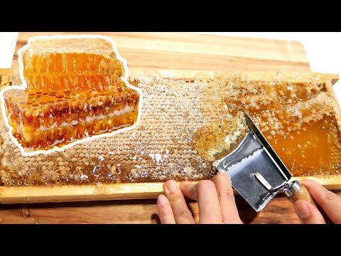 【ASMR】Big Honey Comb Cutting Sounds 巨大巣蜜を削ぐ！【音フェチ】