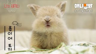 I’m a 30DayOld Baby LopEarned Bunny [SBS Animal I’M THE BABY 38th Edition]