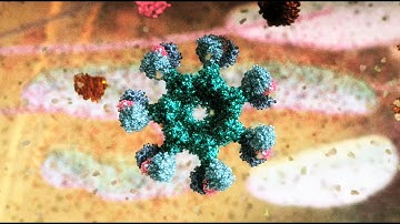 Apoptosis *WATERMARK* (2006)  by Drew Berry wehi.tv, sound design Franc Tétaz