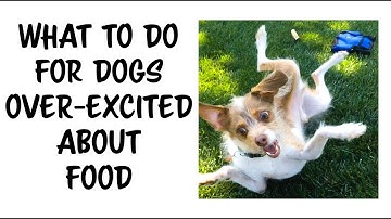 How to train a dog OVER EXICTED by FOOD to be CALM
