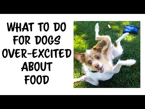 How to train a dog OVER EXICTED by FOOD to be CALM