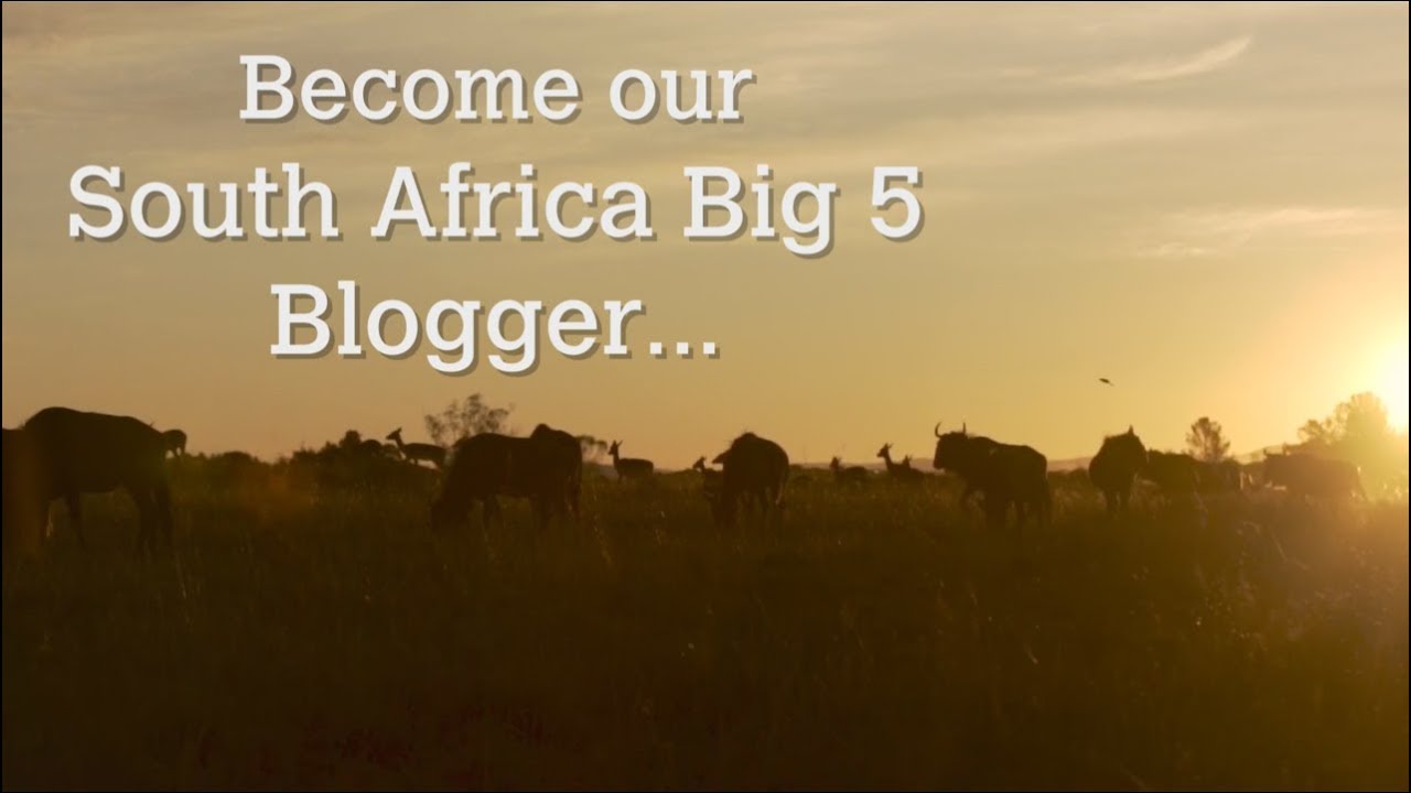 Become our South Africa Big 5 Blogger! teflon coating