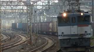 ヒガジュウ EF65-2089 2071レ 2013/12/04