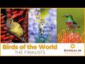 Who Will Win The Birds Of The World Challenge