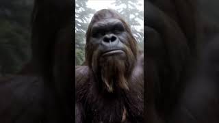 Bigfoot climbs Mt Chiliad from Gta 5 🌲 #viral #fyp #shorts
