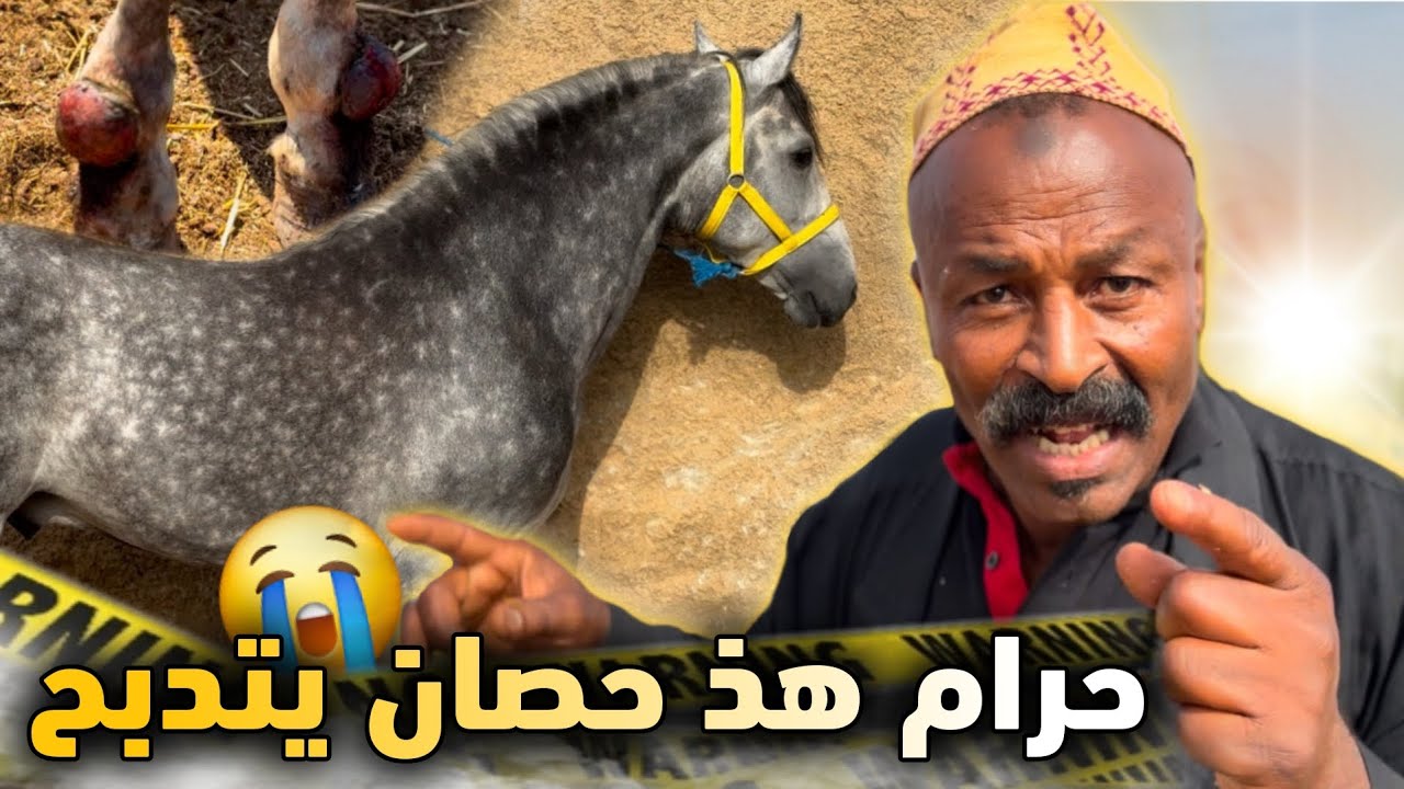 Я купил сокровище у мясника‼️ Лошадь собирались зарезать, а я купил ее в последнюю минуту 😱 И сюр...