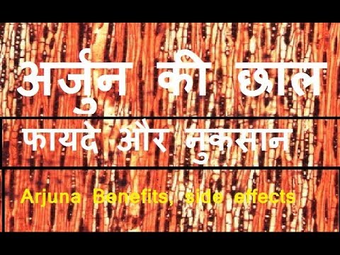 Arjun ki chaal ke fayde || Health Benefits of Arjuna Bark ||