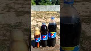 Celebrity What did you learn from this experiment... Wealth