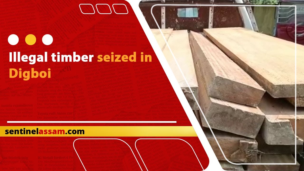 Seize Timber Illegal timber seized in Digboi - YouTube