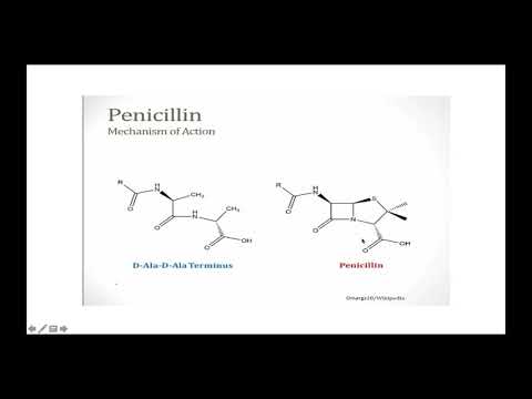 The ANTIBIOTICS Lecture By Alaa Alali شرح المضادات الحيوية بطريقة بسيطة وميسرة للدكتور علاء العلي