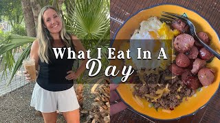Carnivore What I Eat Vlog