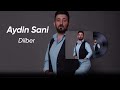 Aydin Sani - Dilber Mp3 Song
