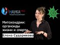 Елена Сударикова - Митохондрии: органоиды жизни и смерти
