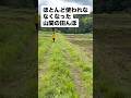自然栽培の米作りにチャレンジin石川県小松市/代掻きと畦塗りをやった日