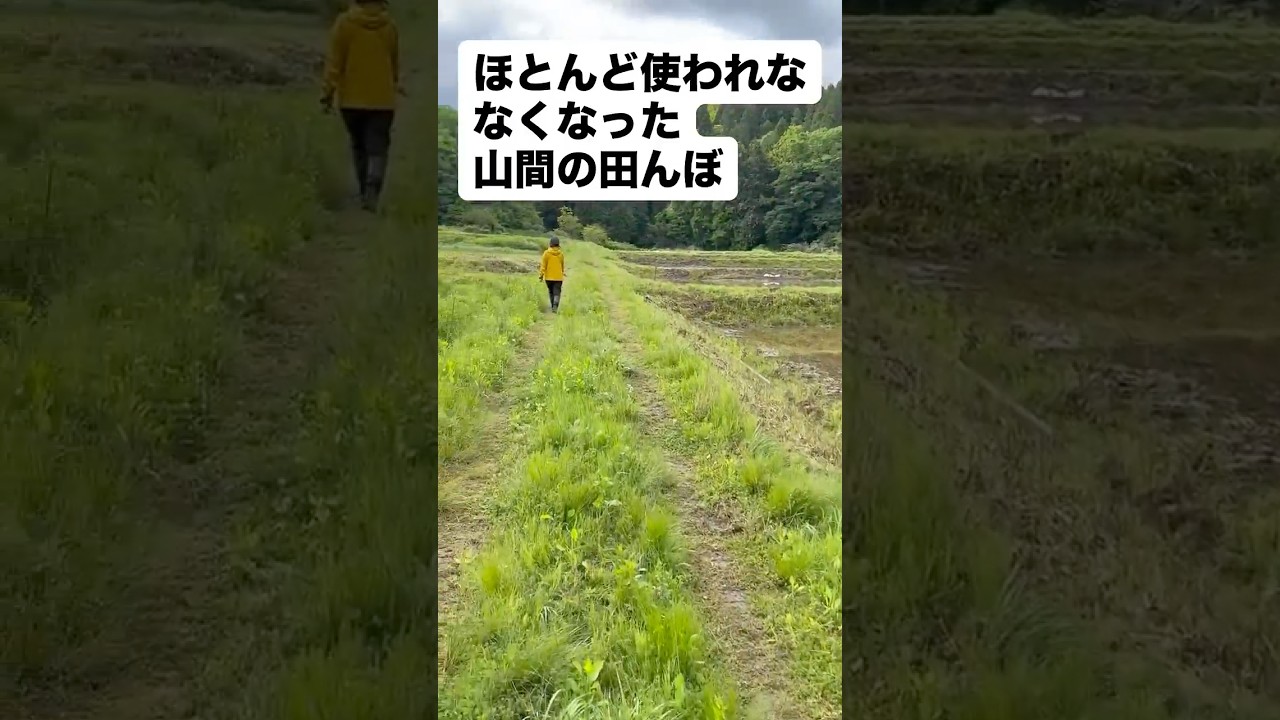 自然栽培の米作りにチャレンジin石川県小松市/代掻きと畦塗りをやった日
