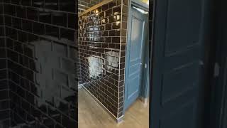 Guy Records Harry Potter-like Themed Toilet