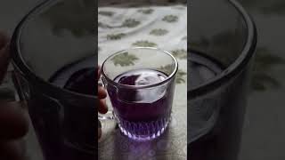 special tea ☕ #love #shortsfeed #nature#ytshortsvideo#suscribe #goodhealth