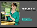 ФУНКЦИЯ EXCEL ВПР (VLOOKUP) - НОВИЧКАМ