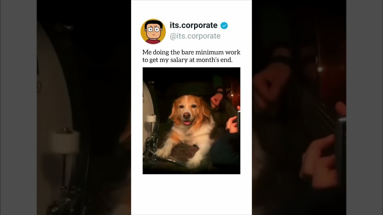 Doing the bare minimum work to get salary | 