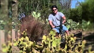 Phoenix Bikes to Work