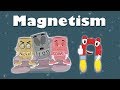 Magnetism | #aumsum #kids #science #education #children