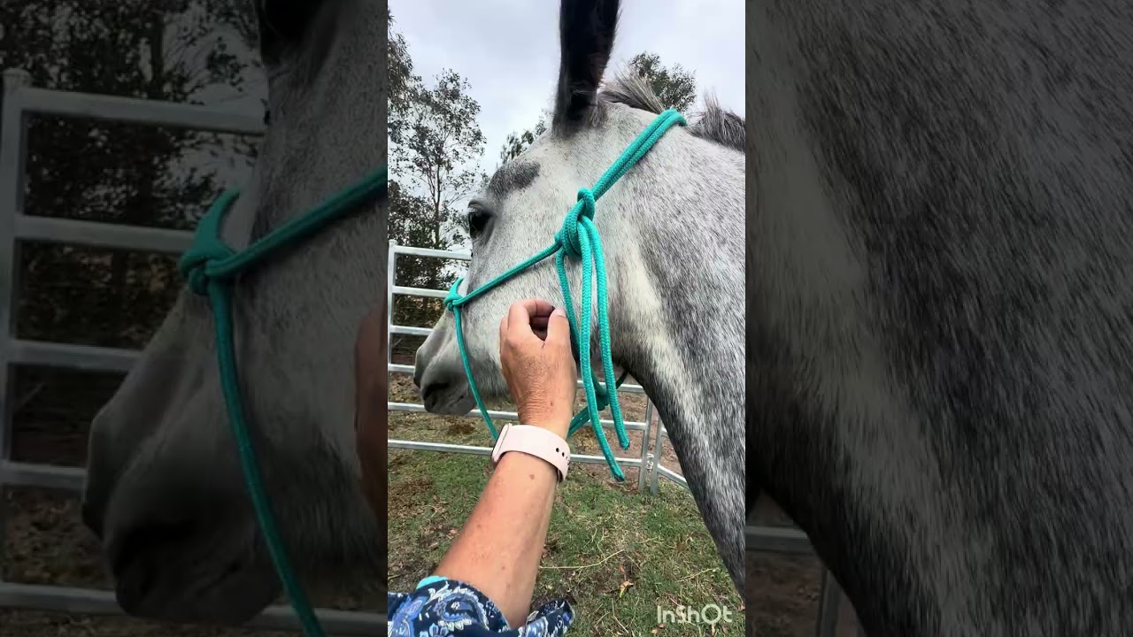 16 января 2026 г.