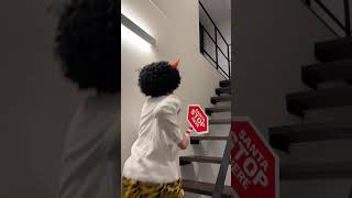 サンタさんをおいかける! #shorts #レオ