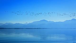 Abraham Hicks ~ What does being Authentic really mean