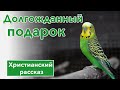 💚 Долгожданный подарок - ИНТЕРЕСНЫЙ ХРИСТИАНСКИЙ РАССКАЗ | Христианские рассказы