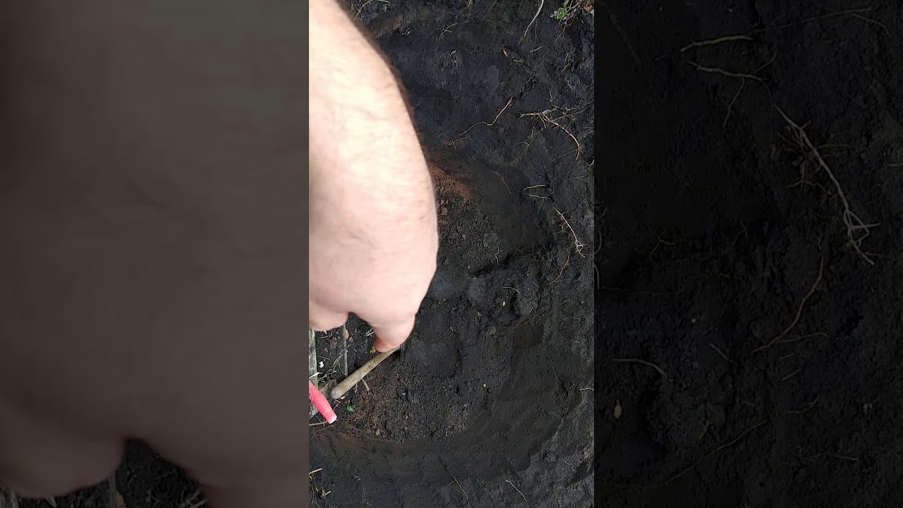 Самый эффективный способ достижения цели! Работает! Проверил....