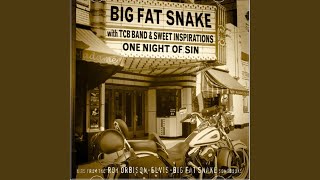 Watch Big Fat Snake Mean Woman Blues video