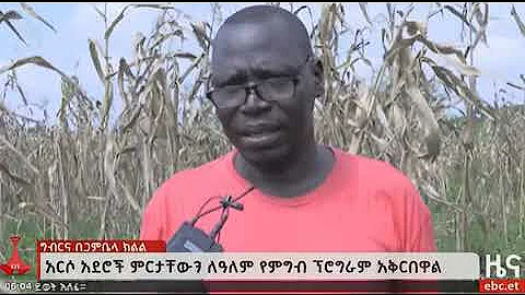 Mercy Corps Ethiopia and WFP supporting farmers in Gambella increase maize production and marketing