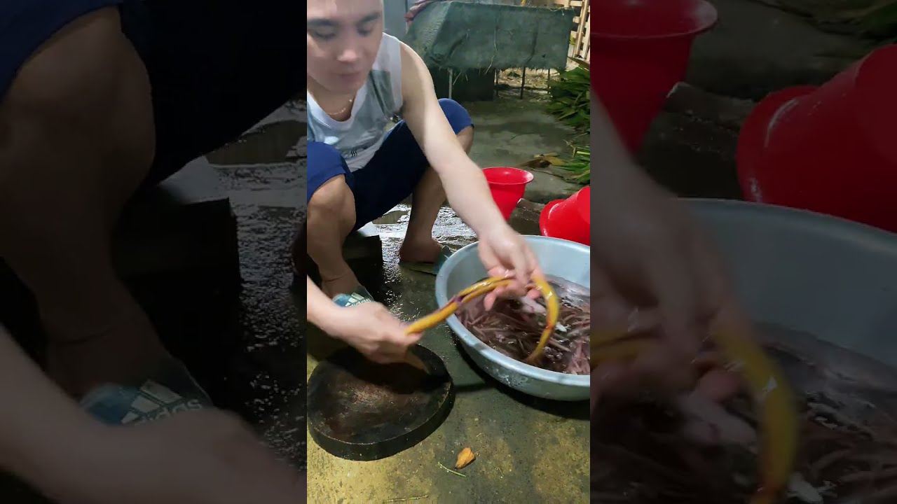 Đồ quê nấu mê chua