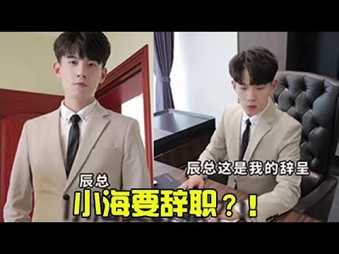 Xiaohai actually wants to resign, Chen always advised him