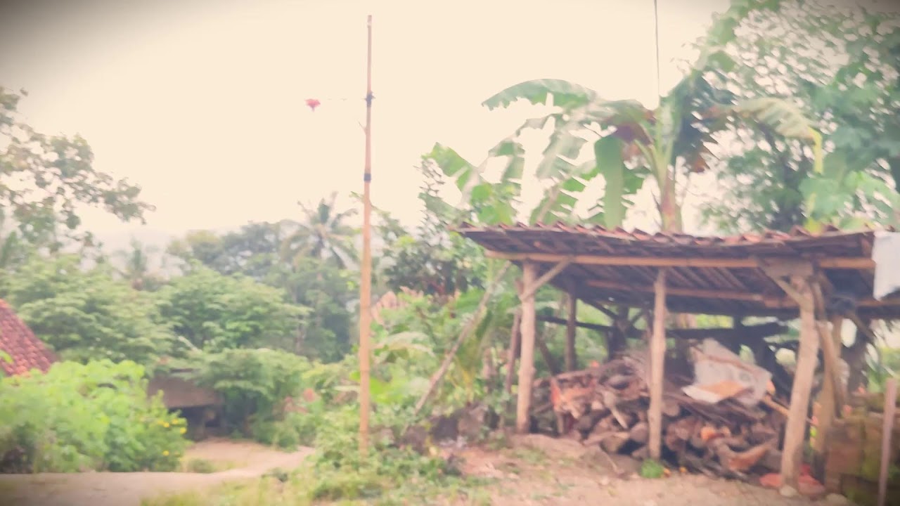 Old School Woodwork: Splitting Large Timber Manually _FarmersLife _Shorts