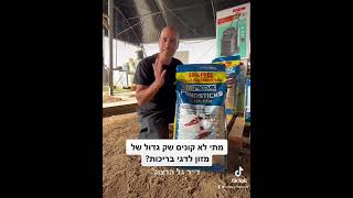 מתי לא קונים שק גדול של מזון לדגי בריכות? ד״ר גל מסביר