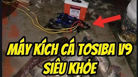 Máy kích cá - siêu khỏe , giá rẻ bao ngửa các loại cá . Bảo hành 12 tháng lỗi đổi máy mới.