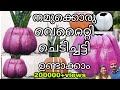 നമുക്കൊരു വെറൈറ്റി ചെടിച്ചട്ടി ഉണ്ടാക്കാം | Variety Cement Pot Making |