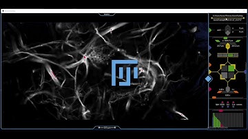 Exporting data to FIJI ImageJ