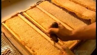 How It's Made - Honey