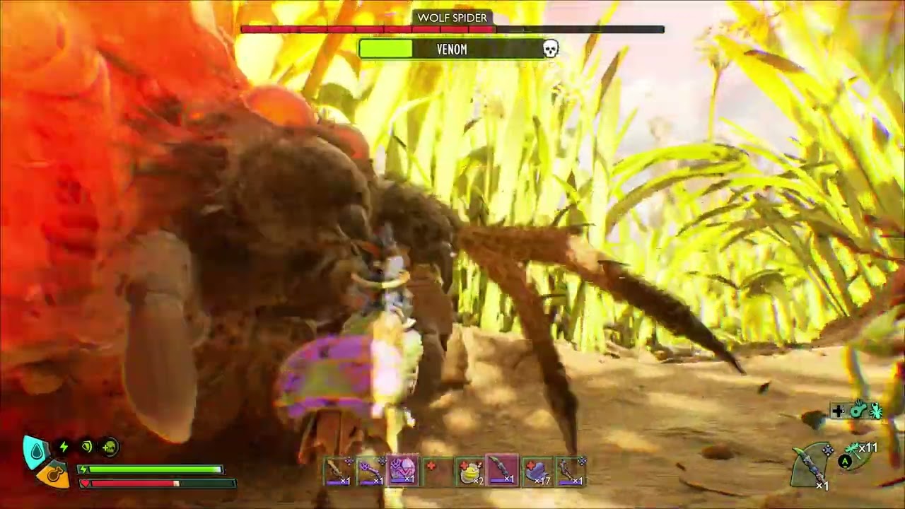 Grounded 2 Wolf Spider