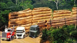 Giant Logging Trucks Fails Off Road❗Dangerous Heavy Equipment Crazy Drivers Skills Crossing River by Beautiful planet 1,824 views 9 days ago 33 minutes