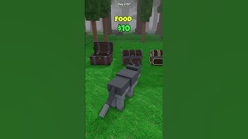 CHEST CHALLENGE #99nightintheforest