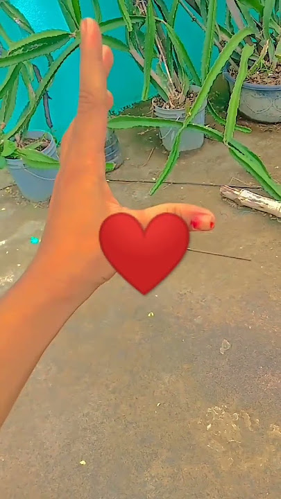imtahamina
