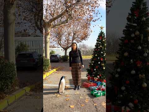 Síguenos para saber como se hace 🎁