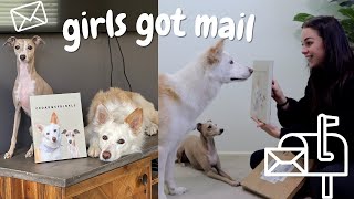 The girls got mail | Furryroyal Pet Portrait