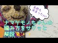 【あみぐるみ】なほねぇ版　ナマケモノちゃんの編み方をサクッと解説