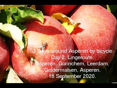 3 Days around Asperen by bicycle - Day 2, Lingeroute. Asperen, Gorinchem, Geldermalsen, Asperen.
